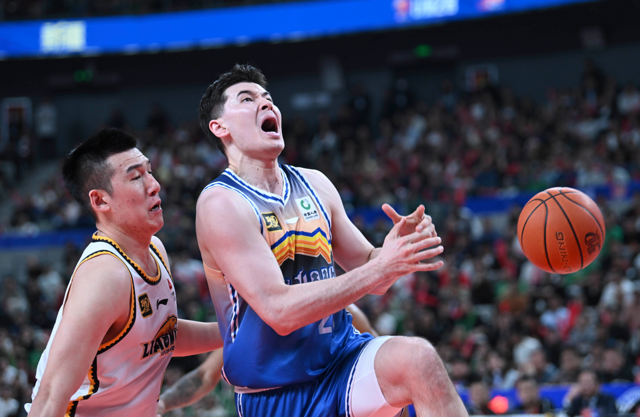 今夜芝加哥公牛调整名单以备CBA常规赛，复出首秀环节打磨，底气十足，身体对抗强度拉满的简单介绍